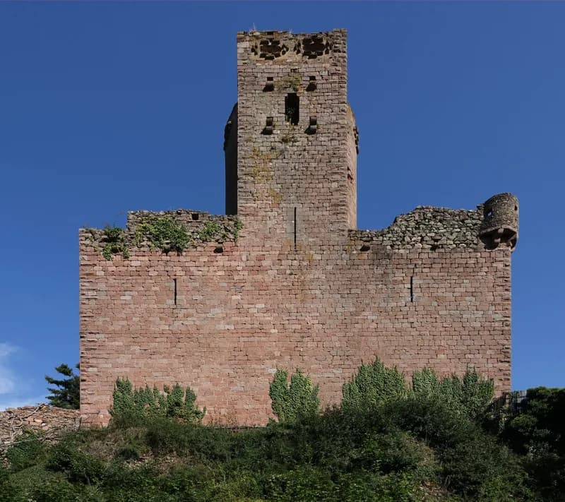 Château de Kintzheim (Kintzheim) Château de Kintzheim — château à Kintzheim, Bas-Rhin, classé mh