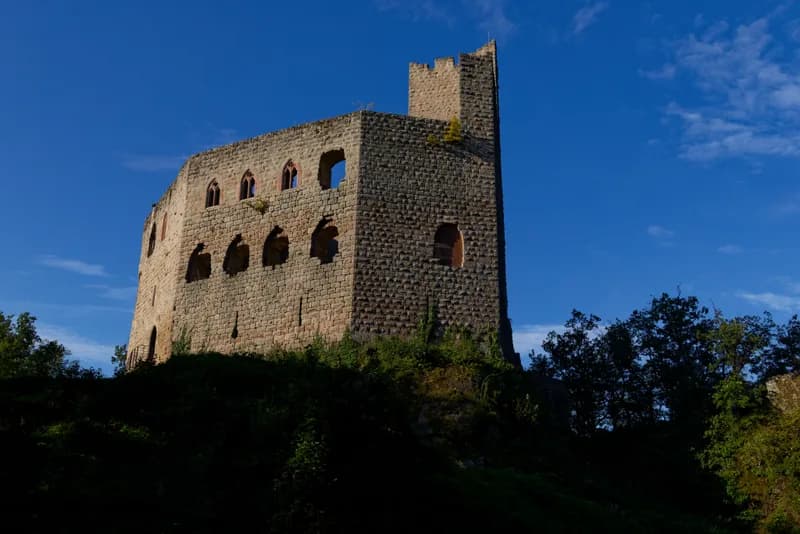 Château de Spesbourg (Barr) Château de Spesbourg — château à Barr, Bas-Rhin, classé mh