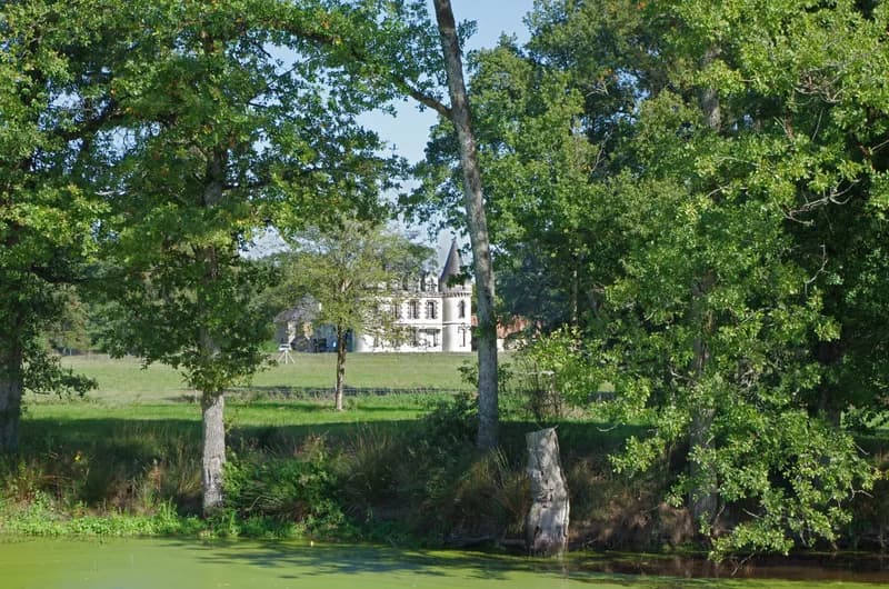 Manoir de Luynes — château à Luynes, Indre-et-Loire, classé mh