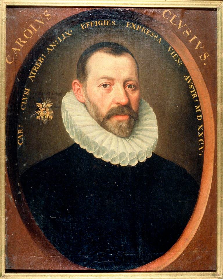 Carolus Clusius (1526-1609) ⚑