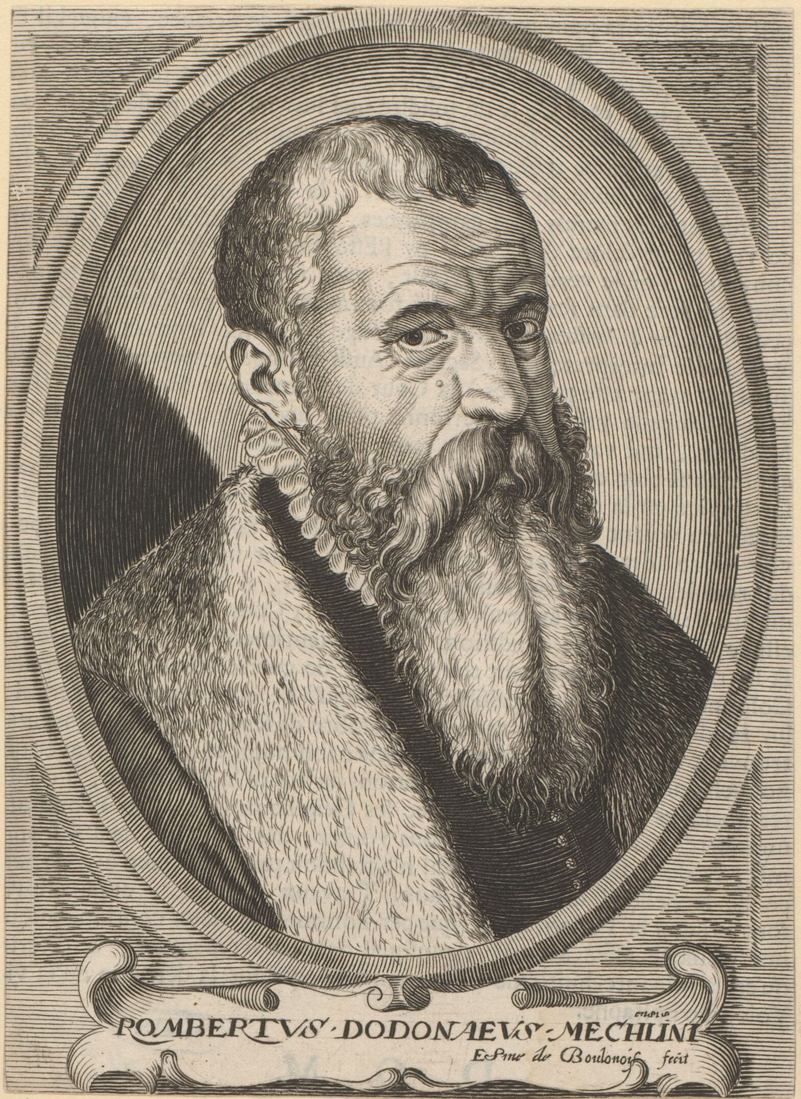 Rembert Dodoens (Dodonaeus)