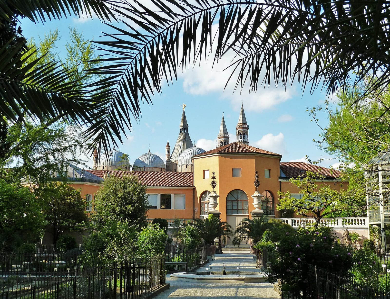 L'Orto Botanico de Padoue (Jardin botanique)