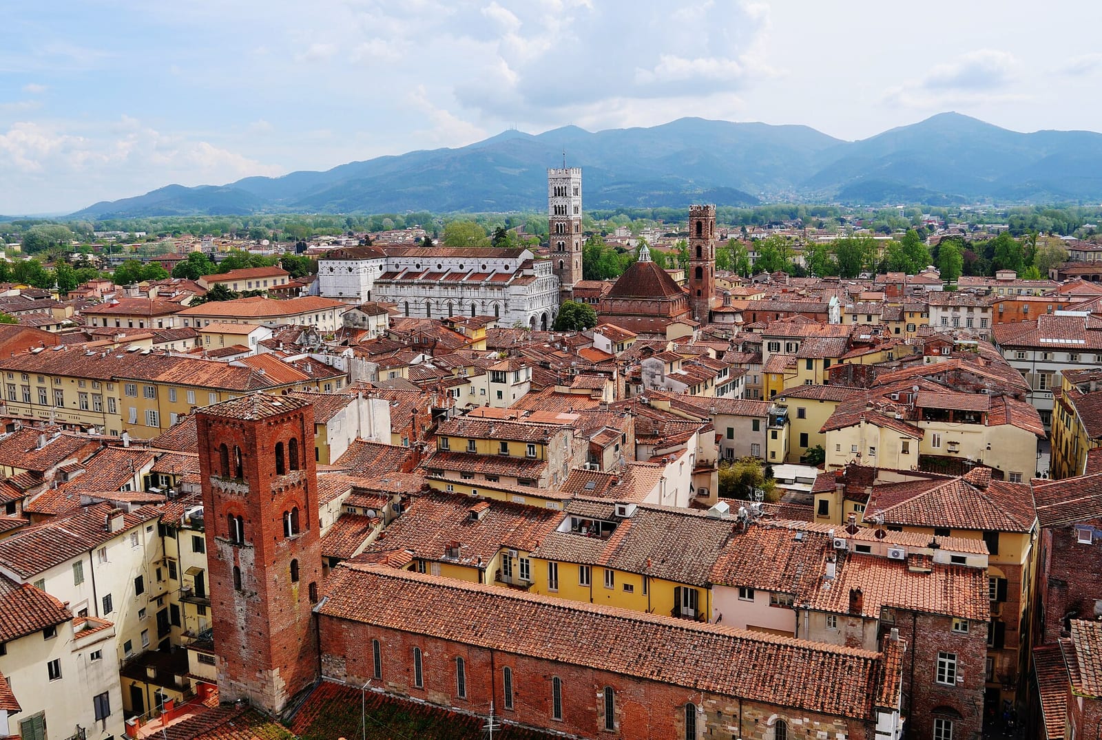 La Cathédrale San Martino de Lucques et Matteo Civitali dans son environnement