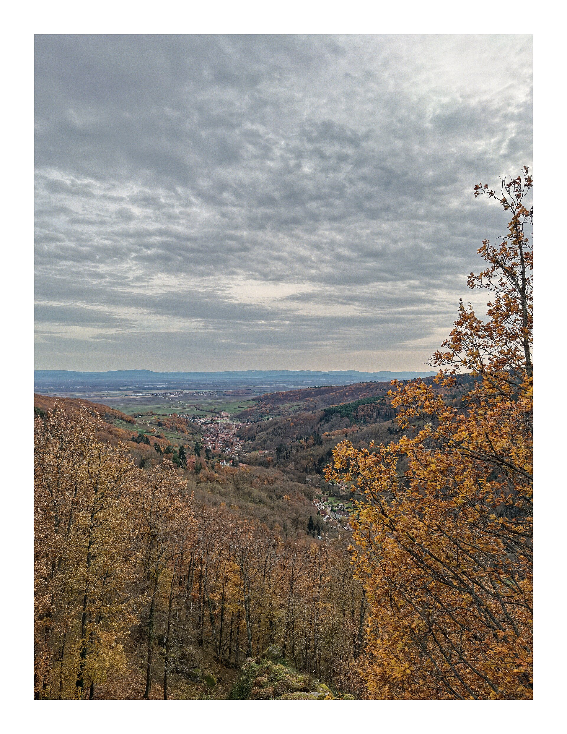 Château d'Andlau — château à Andlau, Bas-Rhin, classé mh