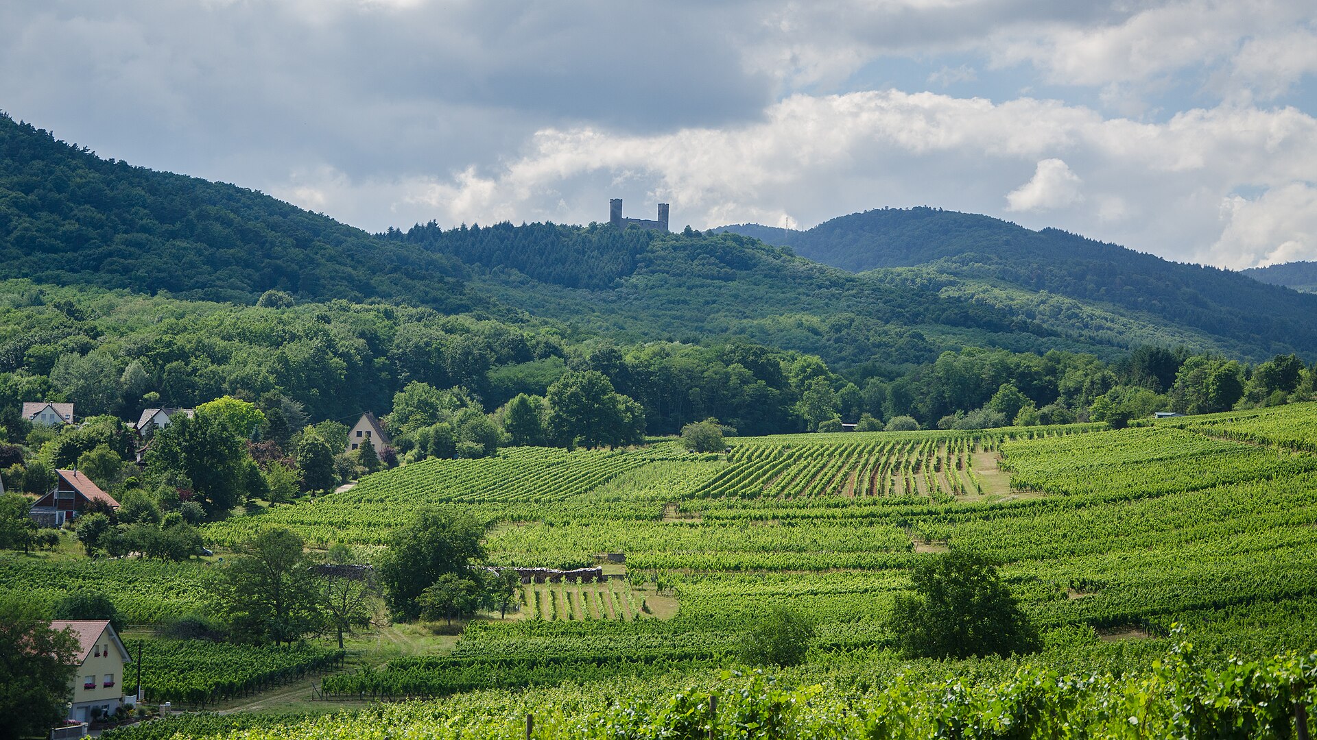 Château d'Andlau — château à Andlau, Bas-Rhin, intérieur, classé mh