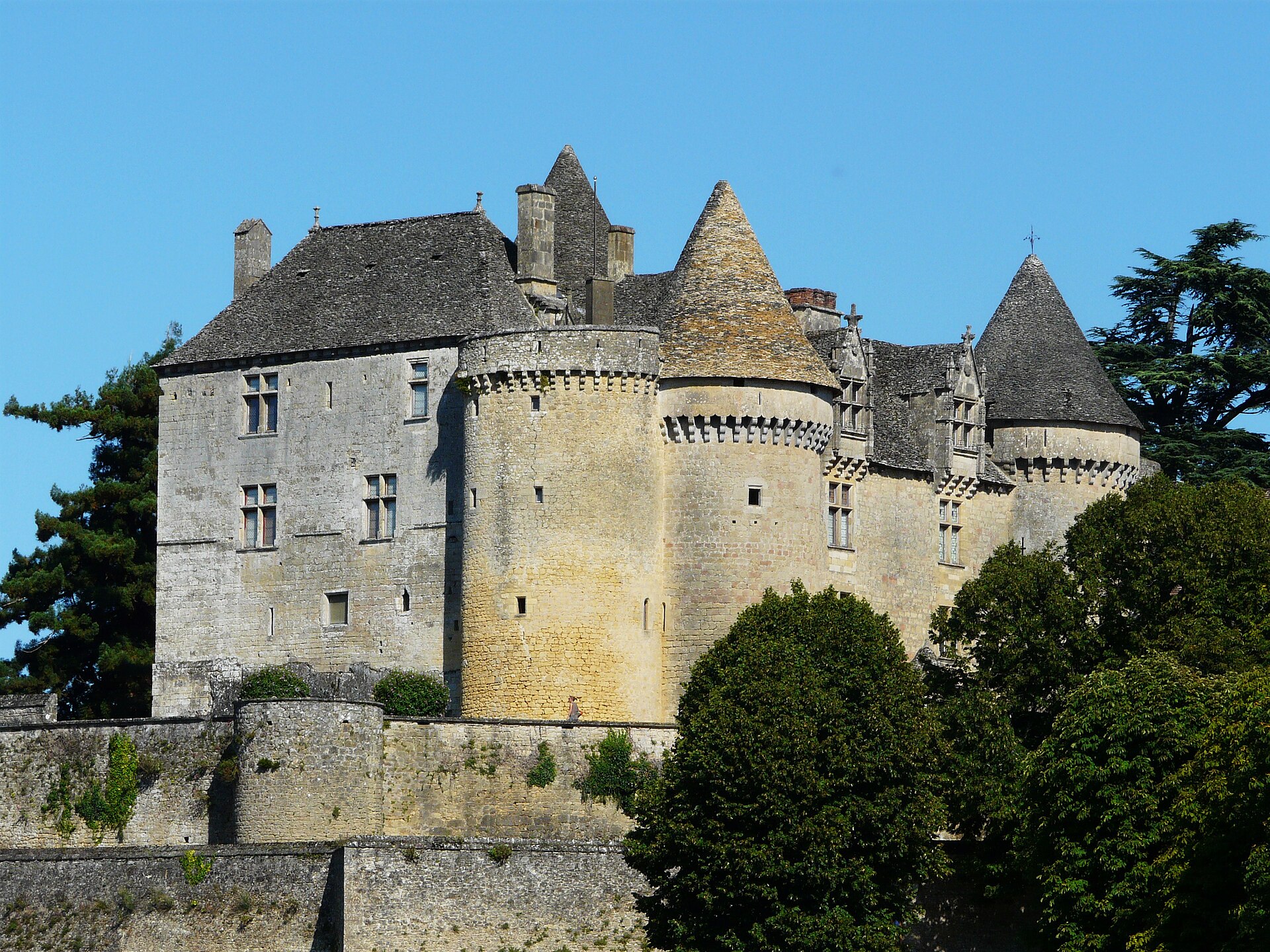 Château de Fénelon — château à Sainte-Mondane, Dordogne, intérieur, classé mh