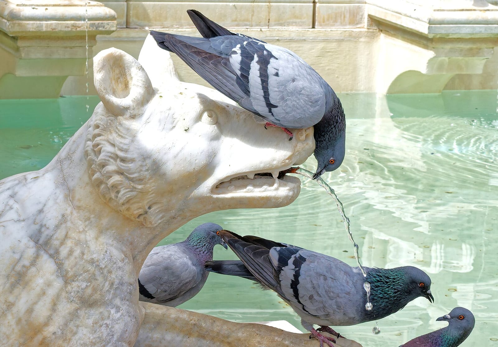 Vue de La Fontaine Gaia (Fonte Gaia)