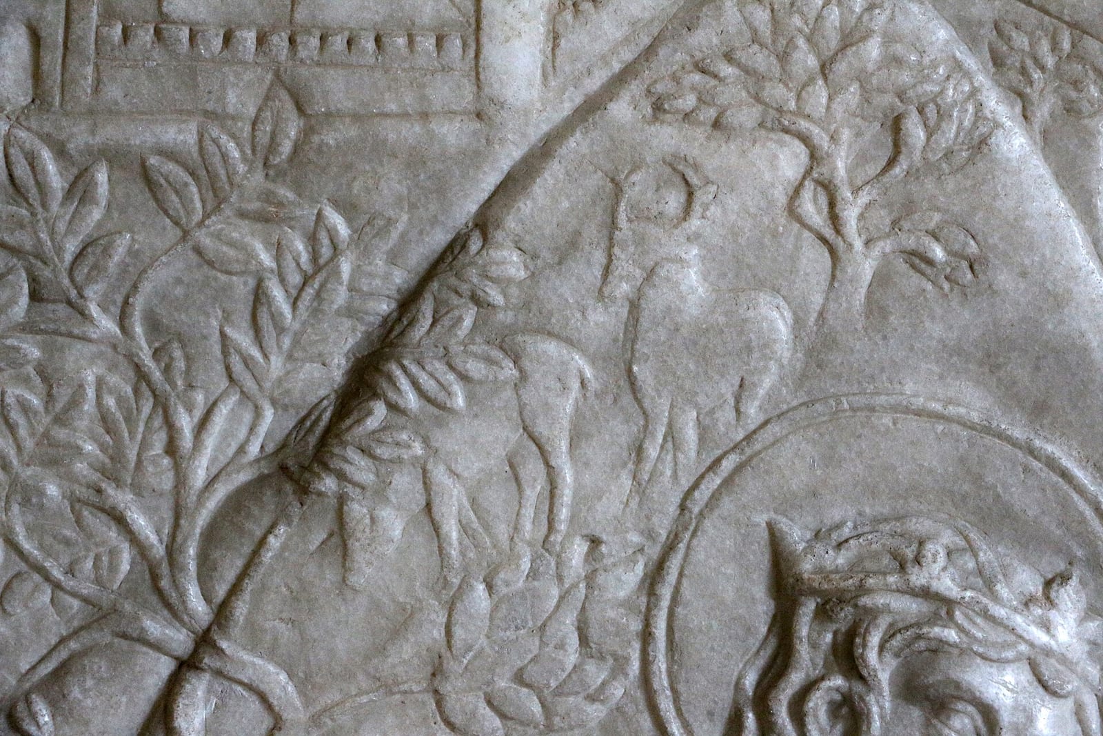 Détail de Le Tempio Malatestiano à Rimini