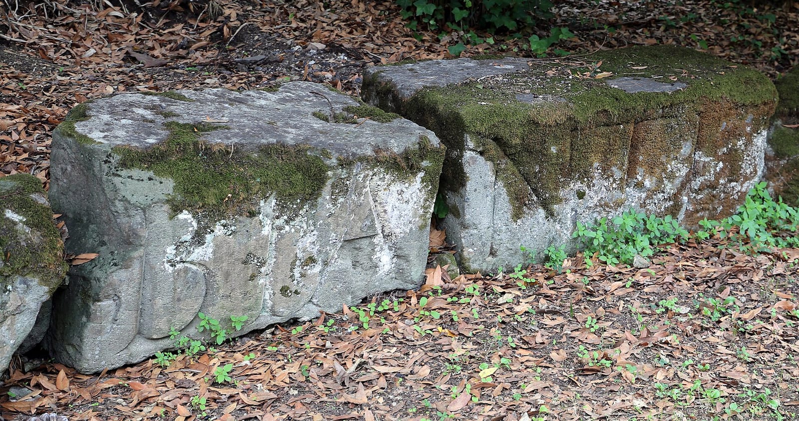 Détail de La Villa Giulia