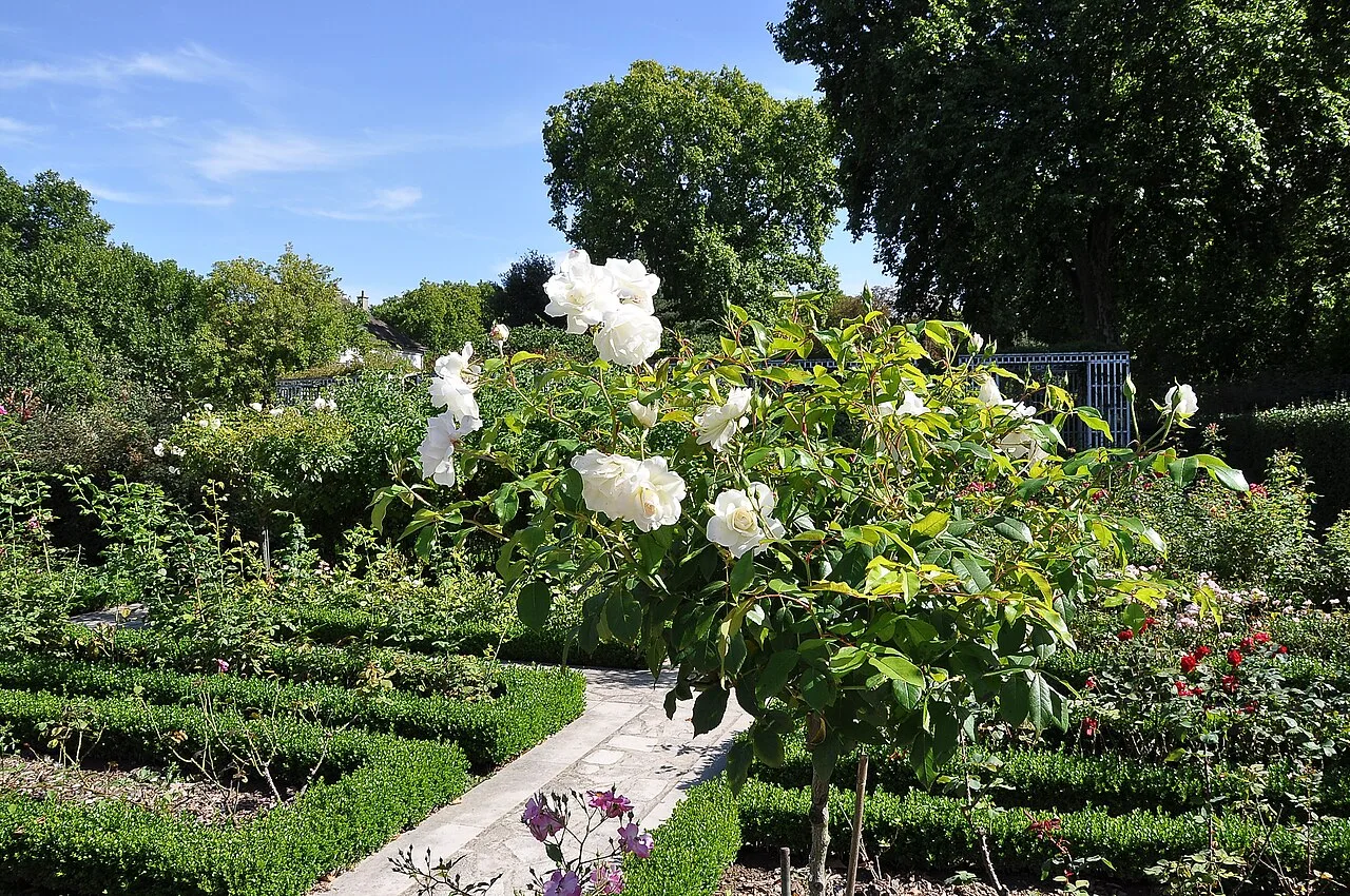 Parc de Bercy