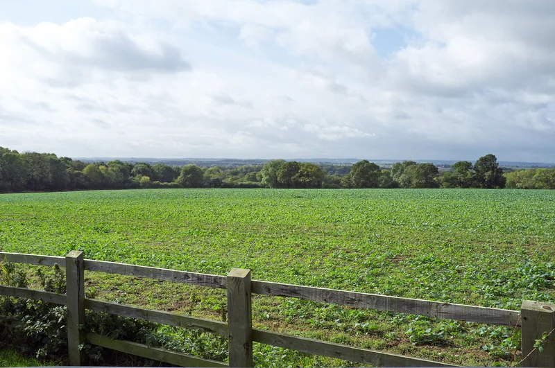 Battle of Bosworth Field (le site) / Bosworth Battlefield Heritage Centre (le centre d'accueil)