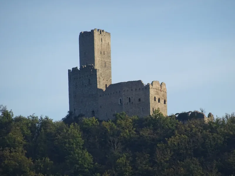 Château d'Ortenbourg — château à Scherwiller, Bas-Rhin, classé mh