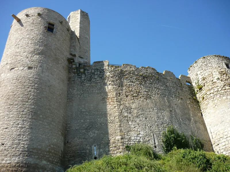 Château de Billy — château à Billy, Allier, classé mh