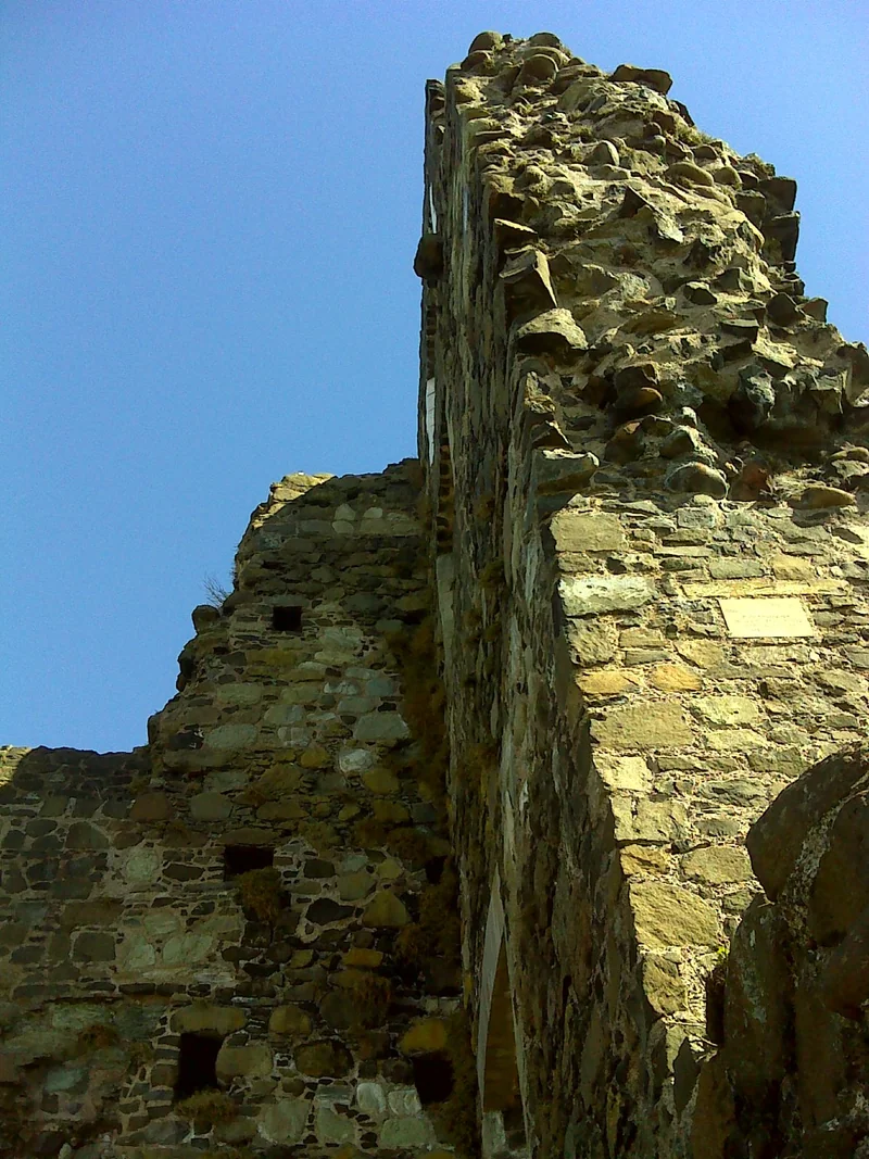 Olderfleet Castle