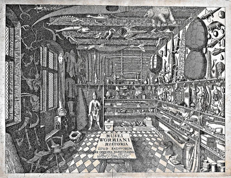 Cabinet de curiosités de Christophe-Paul de Robien — dessins de Léonard de Vinci, Dürer, Botticelli, Rembrandt