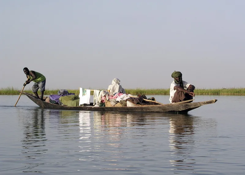 Pirogue monoxyle en chêne (pirogue de Bercy)
